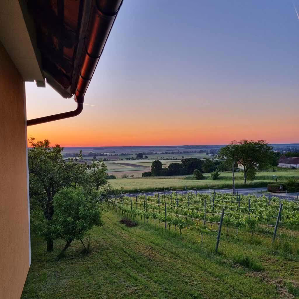 Sunset over the vineyard at the Kellerstöckl
